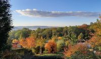 Der Herbst von seiner goldigen Seite